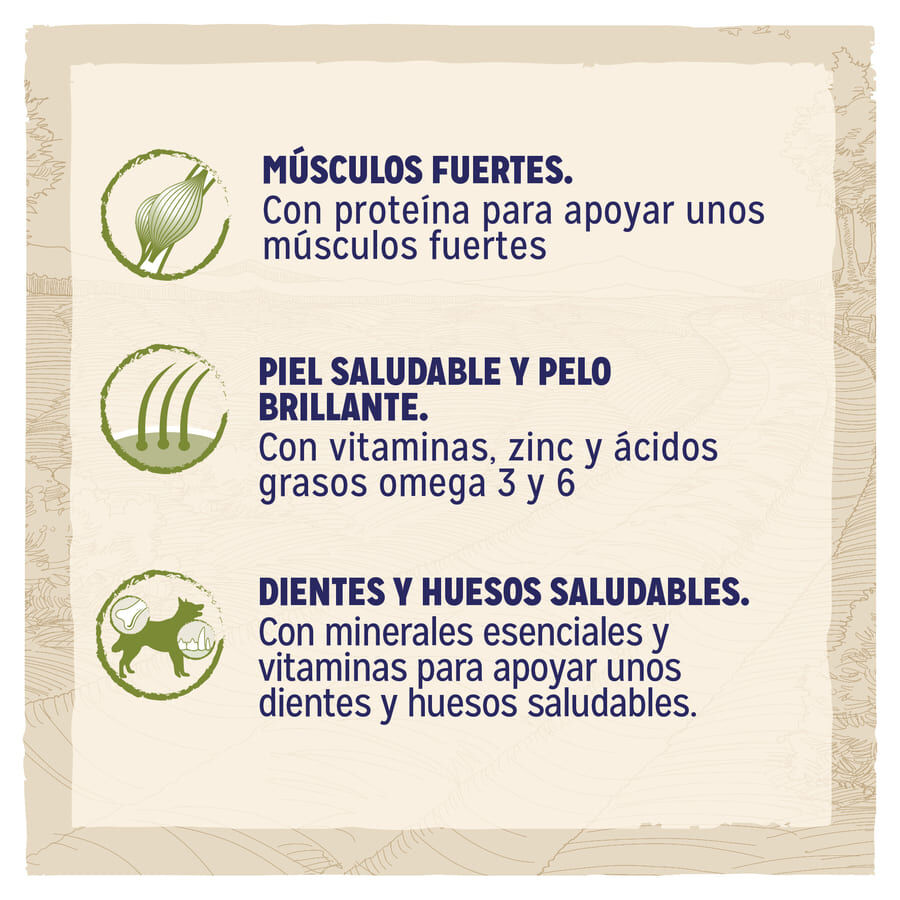 14 kg Dog Chow Adult Frango ra&ccedil;&atilde;o para c&atilde;es, , large Imagem n&uacute;mero 4